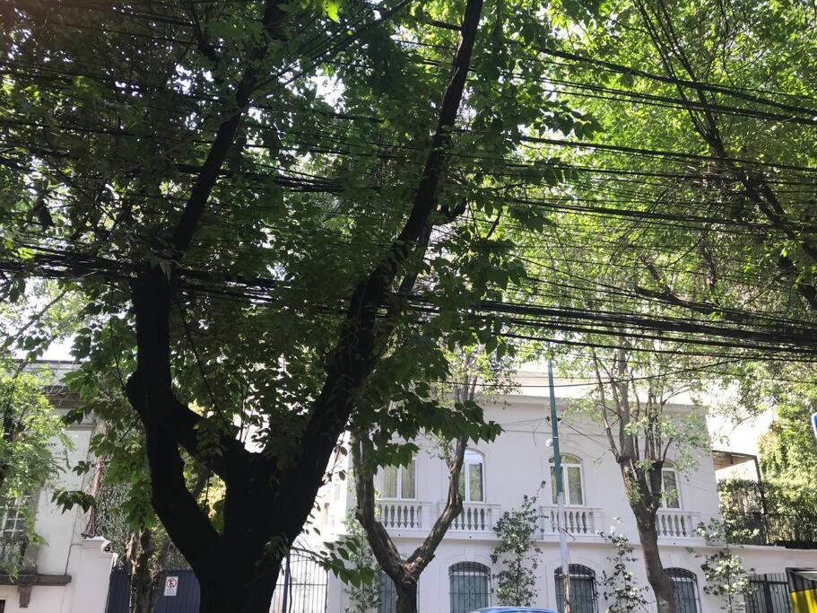Appartement Excellent Location Renovated Apt. Roma/Condesa 1 à Mexico Extérieur photo